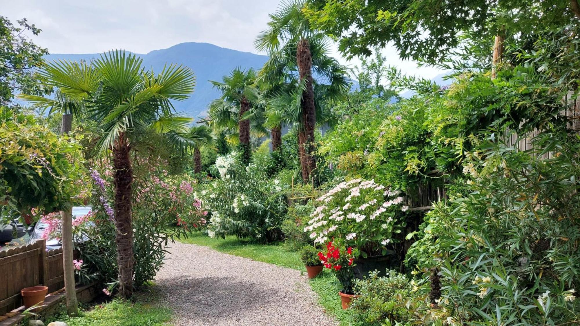 Nora S Home 5 - Panoramic Terrace & Bio Garden Merano Eksteriør bilde